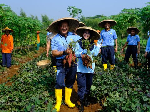 Panen raya Koopsudnas di Lanud Atang Sanjaya Bogor Jabar