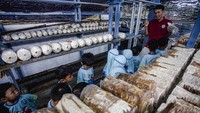 Kegiatan pembelajaran itu untuk mengenalkan dan menambah pengetahuan kepada anak-anak tentang cara membudidayakan jamur sejak usia dini.