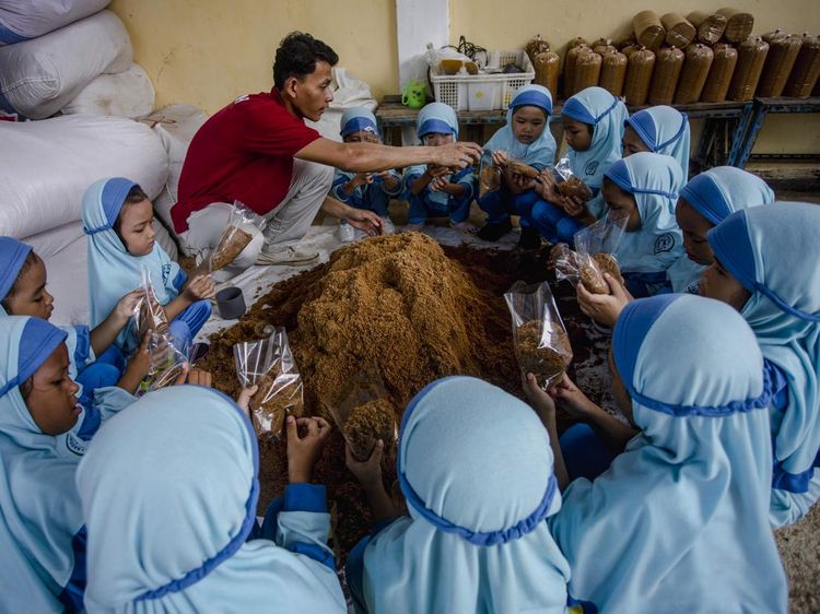 Gemasnya Murid TK di Batam Belajar Cara Budi Daya Jamur