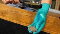 Koleksi tersebut, yang disimpan oleh kerabat Bruun sesuai dengan wasiatnya, meliputi koin dan medali langka dari Denmark, Norwegia, Swedia, dan Inggris yang berasal dari zaman Viking. Koleksi tersebut diharapkan akan menasik tawaran dari beberapa orang terkaya di dunia.