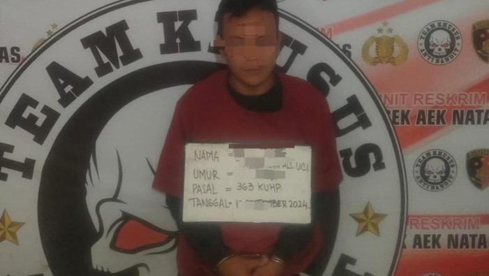 Pelaku pencurian bernama Reza Tarihoran alias Uci (31) usai ditangkap