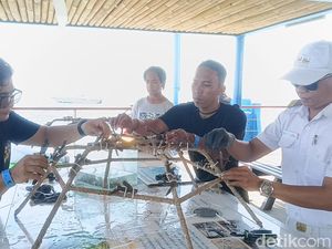 Melihat Restorasi Terumbu Karang Sembari Berwisata ke Nusa Lembongan