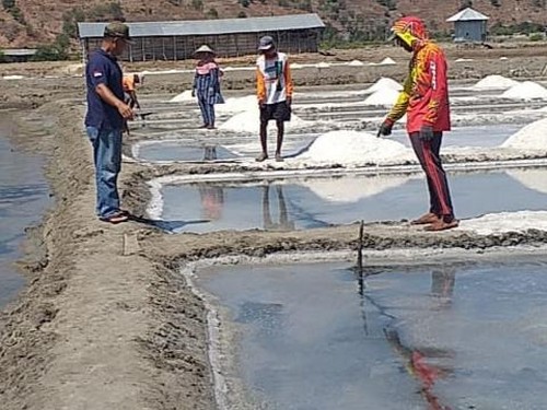Tanah retak di lokasi tambak garam di Bima, NTB, Sabtu (14/9/2024).