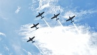 Sedangkan di tanggal 19 sampai 21 September 2024, pengunjung dapat menyaksikan empat sesi pertunjukan udara mulai pukul 9:30 WITA, 10:30 WITA, 12:30 WITA, dan 15:30 WITA. Masing-masing sesi akan menampilkan aksi akrobatik selama 20 menit.