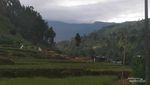 5 Mitos Tentang Kematian di Tegal, Percaya Tidak?