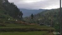 Foto Gunung Slamet Tegal Tertutp Kabut oleh Malik