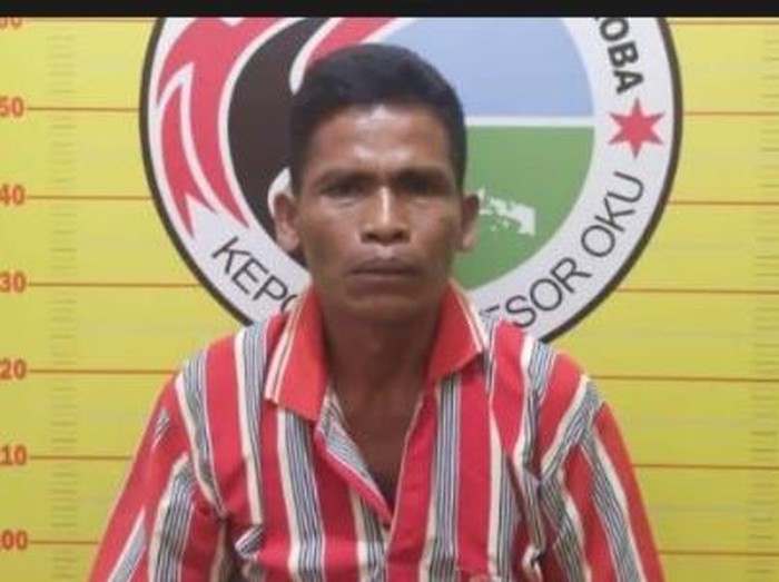 Satresnarkoba Polres Ogan Komering Ulu (OKU) menangkap bandar ganja. Dari tangan pelaku disita barang bukti ganja seberat 34,66 gram.