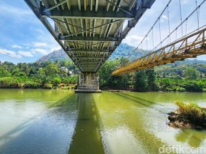 Jejak Buaya Putih dan Buaya Buntung Penunggu Sungai Cimandiri