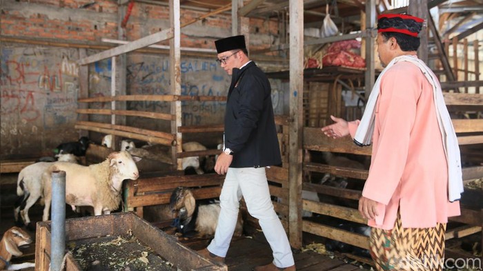 Bakal calon Gubernur Jakarta Ridwan Kamil  didampingi tokoh Betawi Bang Idin saat melakukan blusukan ke Pasar Kambing Tanah Abang, Jakarta Pusat, Minggu (15/9/2024).
