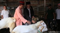 Ridwan Kamil menemui Himpunan Pedagang Kambing Tanah Abang dan tokoh masyarakat setempat untuk melakukan audiensi di tengah pasar kambing.