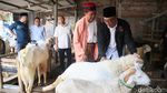Momen Ridwan Kamil Blusukan ke Pasar Kambing Tanah Abang