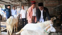 Menurut RK, kunjungannya ini untuk belanja masalah, sehingga dirinya bisa mengetahui masalah-masalah yang selama ini dihadapi warga.