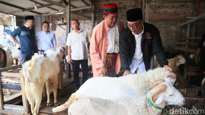 Momen Ridwan Kamil Blusukan ke Pasar Kambing Tanah Abang