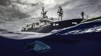 Juara dua kategori Conservation (Hope) dianugerahkan kepada Edwar Herreno dari Kolombia. Foto ini memperlihatkan seekor hiu paus yang berenang di samping kapal penelitian Sharkwater di Kosta Rika. Foto: Edwar Herreno/Ocean Photographer of the Year 2024