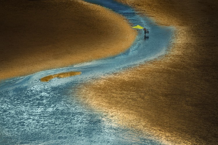 Ocean Photographer of the Year 2024 Ocean Photographer of the Year 2024