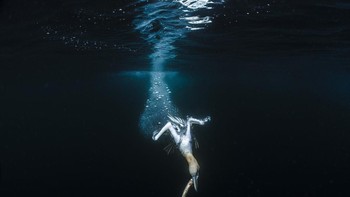 Juara dua Photographer of the Year 2024 diberikan kepada Jade Hoksbergen dari Taiwan. Fotonya memperlihatkan burung norther gannet yang sedang menyelam untuk menangkap mangsanya di Pulau Noss, Kepulauan Shetland, Skotlandia. Foto: Jade Hoksbergen/Ocean Photographer of the Year 2024