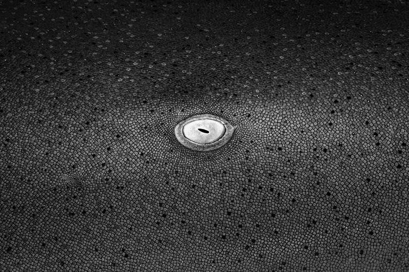 Ocean Photographer of the Year 2024