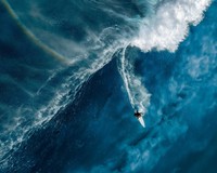 Ocean Photographer of the Year 2024