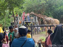 Rekomendasi Tempat Wisata Seru untuk Libur Nataru di Surabaya