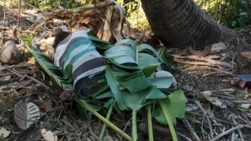 Petani di Kupang, NTT, ditemukan tewas terbungkus daun pisang dan sejumlah luka di kepala, Sabtu (14/9/2024).