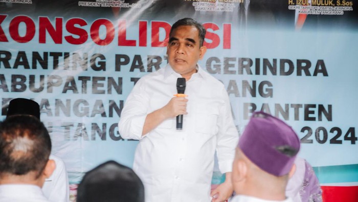 Sekjen Gerindra Ahmad Muzani (Dok. Istimewa)