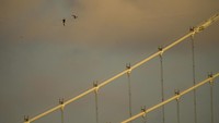 Turki semakin dikenal sebagai pusat aktivitas slackline yang menarik perhatian para penggiat slackline internasional dan memperkuat posisi Turki di dunia olahraga ekstrem.