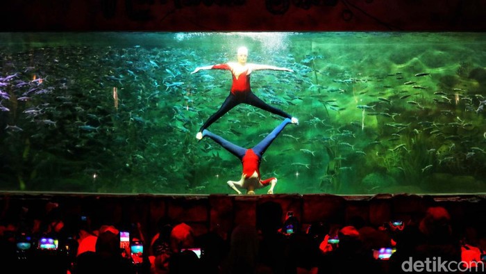 Aksi Putri Duyung yang Bikin Pengunjung Kagum Mermaid Show atau pertunjukan putri duyung jadi daya tarik wisata untuk mengunjungi Ocean Dream Ancol. Begini keseruannya.
