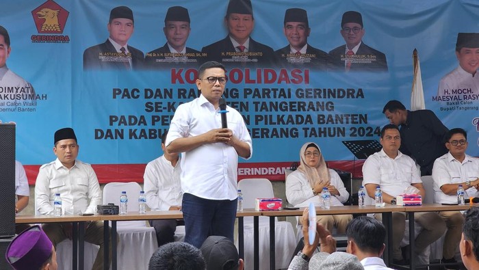 Andra Soni (Bahtiar-detikcom)