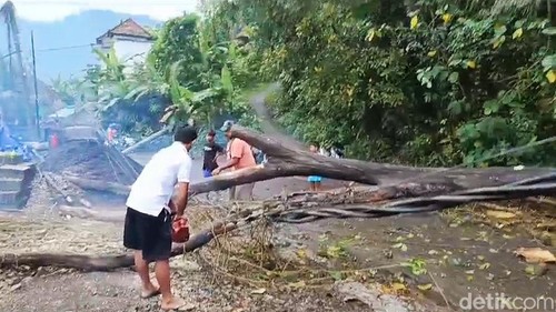 BPBD bersama masyarakat melakukan penanganan pohon tumbang di Kecamatan Manggis, Karangasem, Senin (16/9/2024). (Dok. BPBD Karangasem)