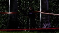Seorang tersangka telah ditahan oleh polisi setempat setelah terjadi penembakan di lapangan golf Trump di West Palm Beach.