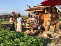 Cuma di Bali, Bisa Ngopi di Kedai Jadul Sambil Lihat Sawah