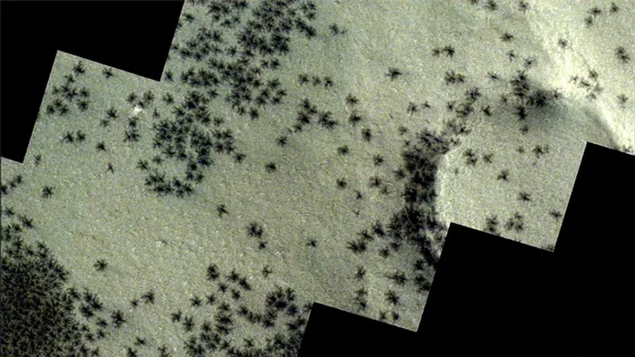 Viral foto yang menampilkan sesuatu mirip sekelompok laba-laba raksasa di Mars. Benarkah itu laba-laba? Begini penjelasan dari ilmuwan.