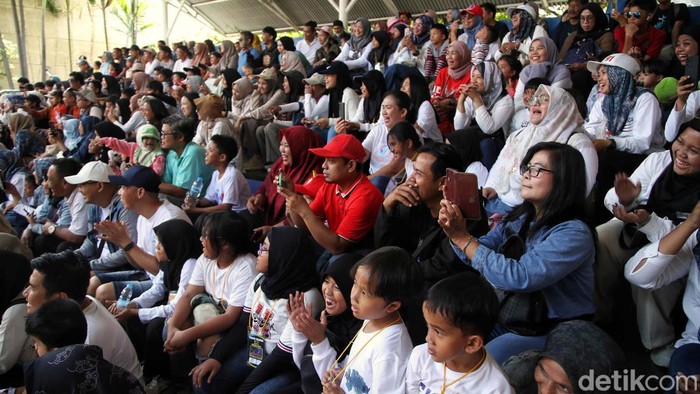 Singa Laut beraksi di kawasan Ocean Dream, Ancol, Jakarta Utara, Senin (16/9/2024). Aksi singa laut itu bikin gemes pengunjung.