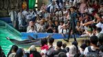 Mengisi Libur Panjang dengan Menikmati Atraksi Lumba-lumba