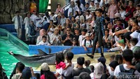 Tidak lupa mereka mengbadikan dengan kameranya.