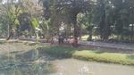 Merasakan Suasana Asri dengan Berolahraga di Taman Langsat