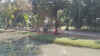 Taman dengan rumput hijau serta kolam di tengahnya ini memberikan sentuhan estetika bagi pengunjung yang ingin berfoto.