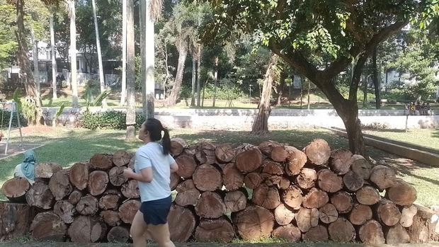 Taman Langsat di Jalan Barito, Jakarta Selatan memberikan suasana yang nyaman bagi warga yang berkunjung. Warga biasa berolahraga di taman ini.