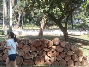 Taman di Jakarta Diusulkan Dibuka 24 Jam, Warga: Aman Nggak? Angker Nggak?