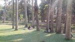 Merasakan Suasana Asri dengan Berolahraga di Taman Langsat