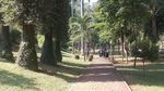 Merasakan Suasana Asri dengan Berolahraga di Taman Langsat