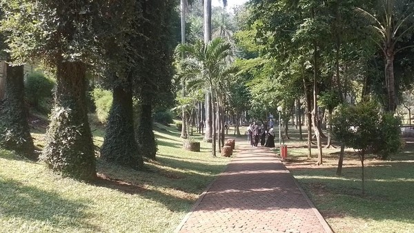 Merasakan Suasana Asri dengan Berolahraga di Taman Langsat