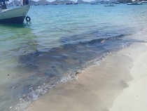Pantai Pede di Labuan Bajo Tercemar Tumpahan Oli