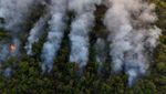 Potret Taman Nasional Brasilia Masih Membara