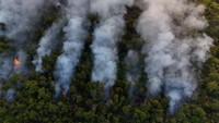Tampak foto udara titik api di Taman Nasional Brasilia.