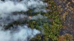Potret Taman Nasional Brasilia Masih Membara