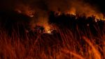 Potret Taman Nasional Brasilia Masih Membara