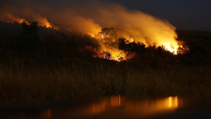 Potret Taman Nasional Brasilia Masih Membara Flames rise from wildfires in Brasilia National Park, in Brasilia, Brazil, September 15, 2024. REUTERS/Ueslei Marcelino