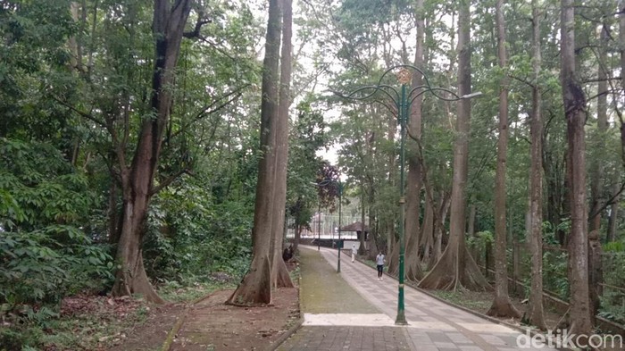 Butuh Suasana Baru? Cek 4 Rekomendasi Tempat Jogging Seru di Depok