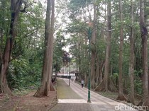 Butuh Suasana Baru? Cek 4 Rekomendasi Tempat Jogging Seru di Depok